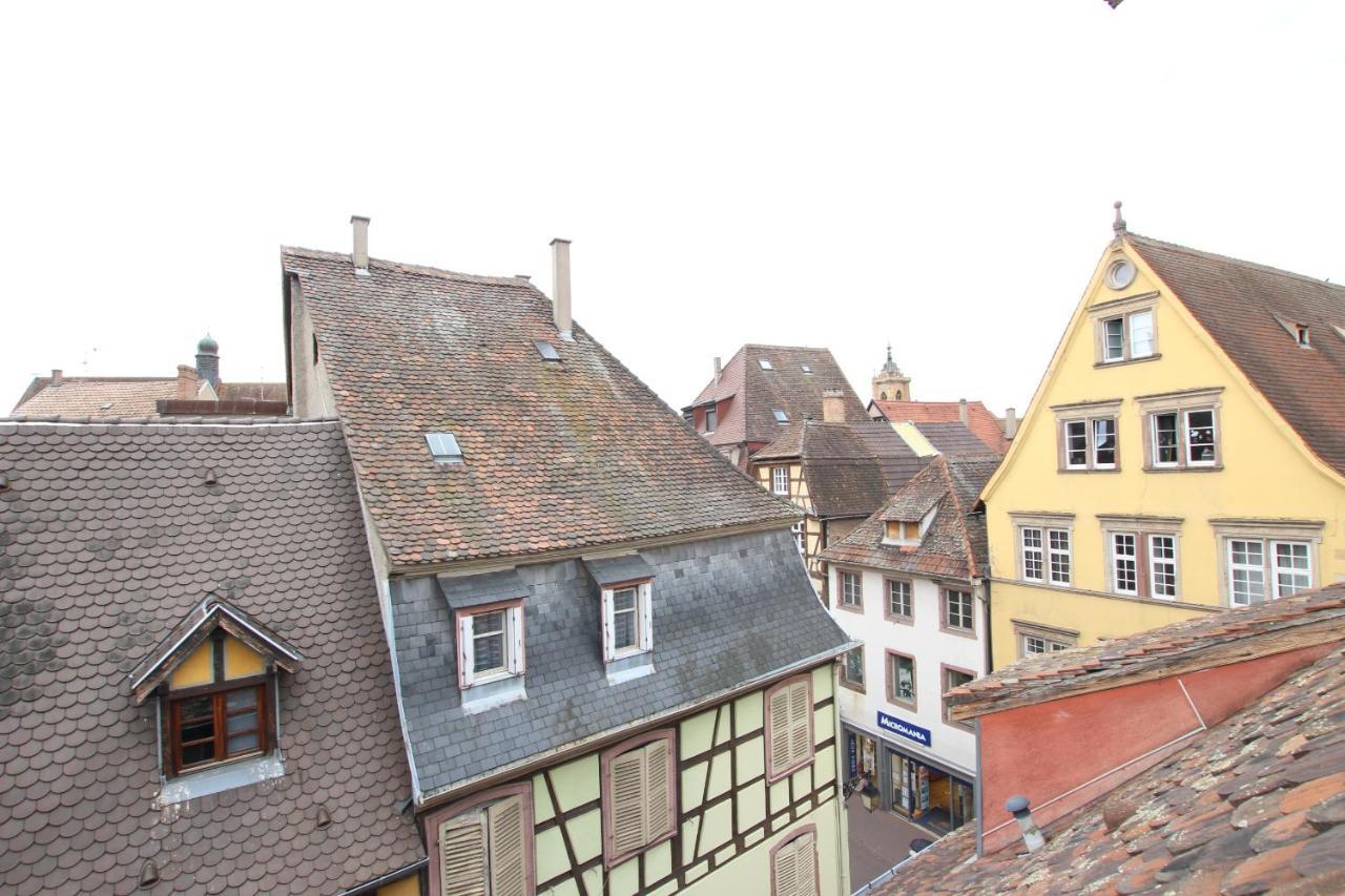 Colmar City Center - Appartement Petit Ours - Bookingalsace Eksteriør billede