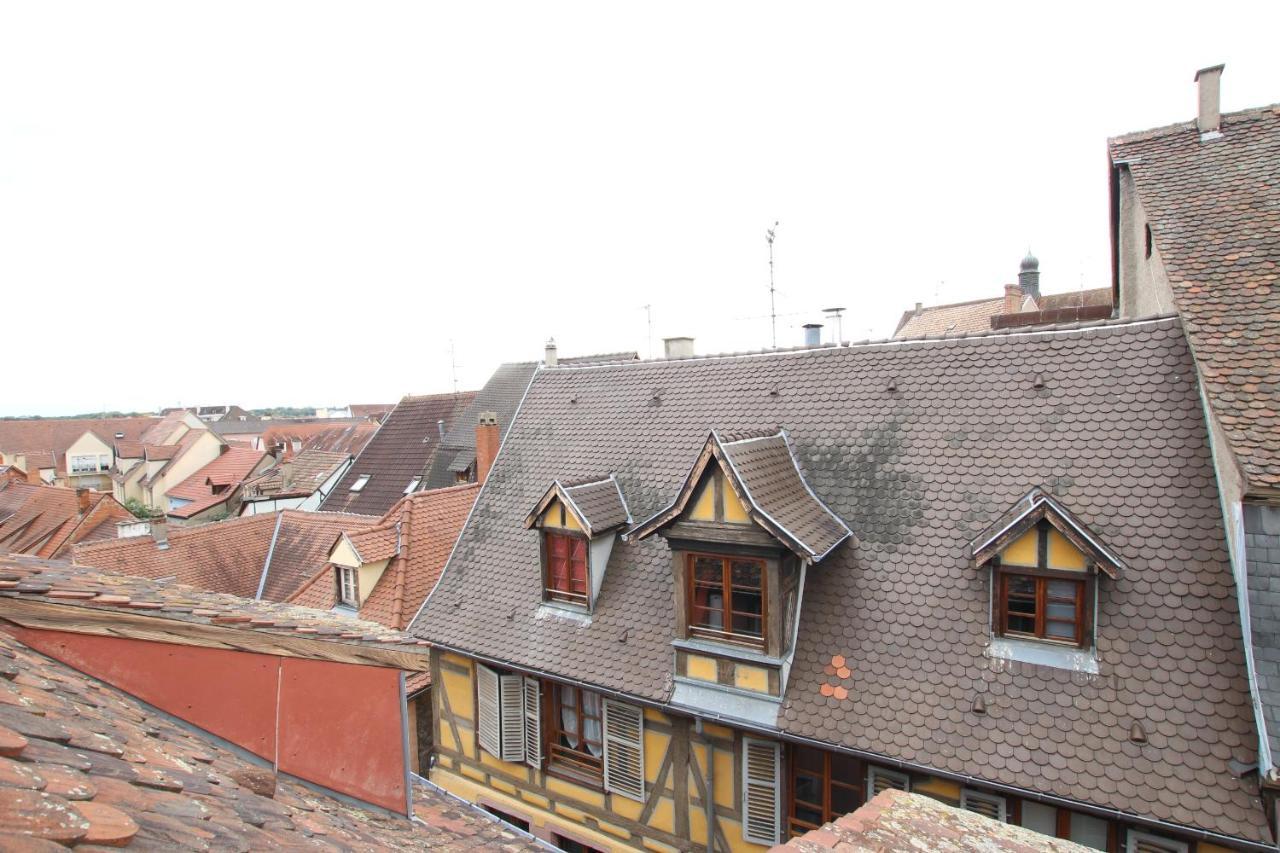 Colmar City Center - Appartement Petit Ours - Bookingalsace Eksteriør billede
