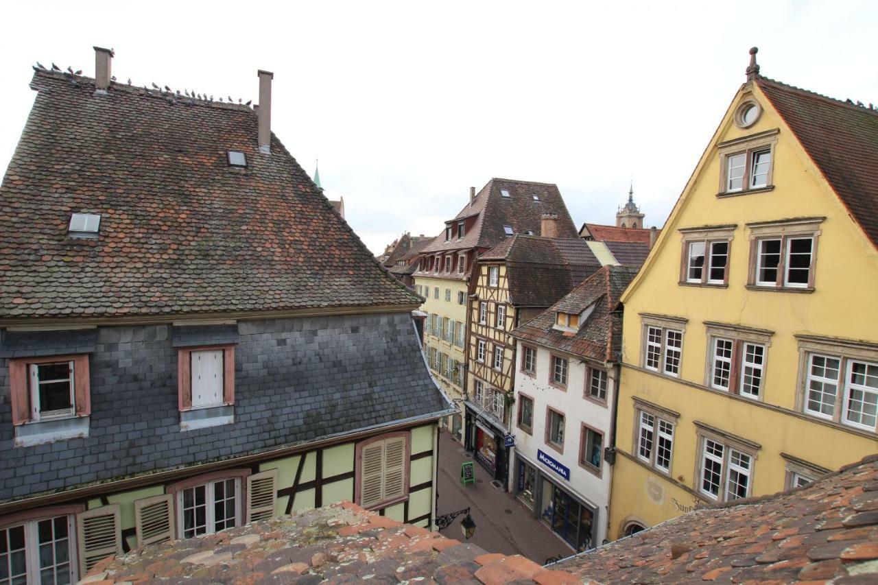 Colmar City Center - Appartement Petit Ours - Bookingalsace Eksteriør billede