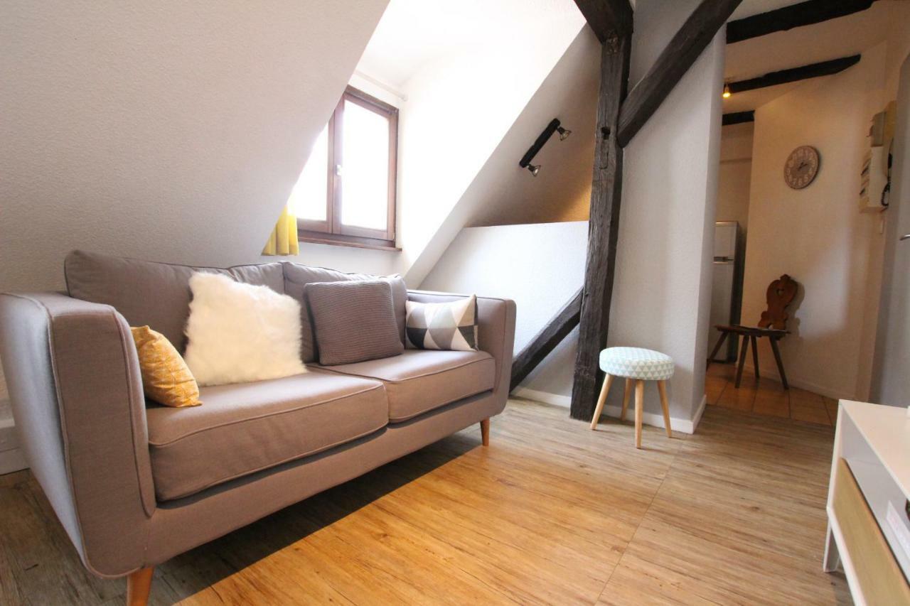 Colmar City Center - Appartement Petit Ours - Bookingalsace Eksteriør billede